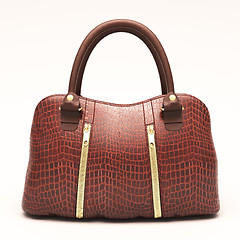 Image showing Crocodile leather handbag isolated