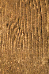 Image showing Texture of wood