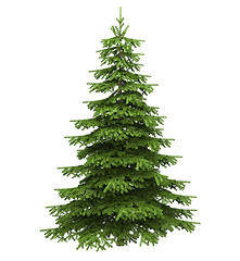 Image showing Christmas tree