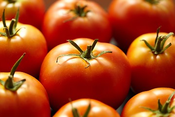 Image showing Bright red tomato