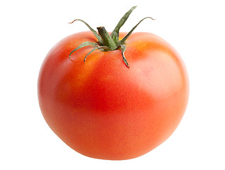 Image showing Tomato isolated