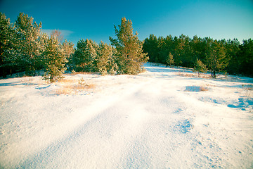 Image showing Winter landscape