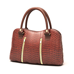 Image showing Crocodile leather handbag isolated