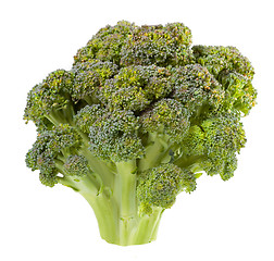 Image showing Broccoli