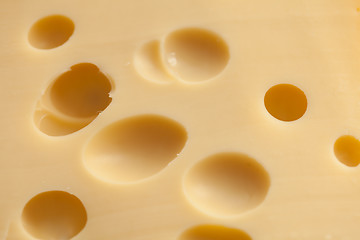 Image showing Cheese with holes