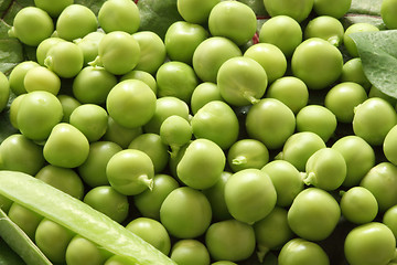 Image showing Green pea pods