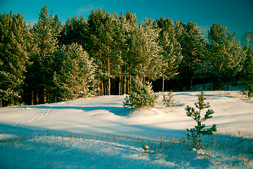 Image showing Winter landscape