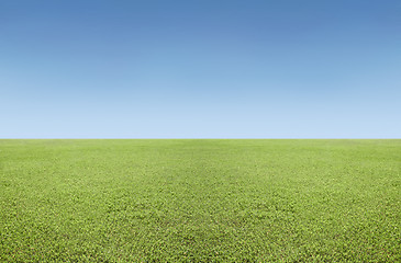 Image showing Grass and sky