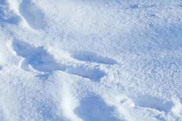 Image showing Deep snow