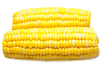 Image showing Corn-cob isolated