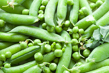 Image showing Green peas