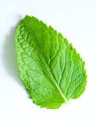 Image showing Fresh mint leaves