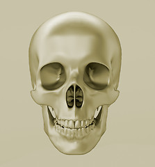 Image showing Skull, 3d render