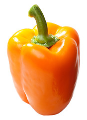 Image showing Paprika isolated