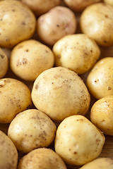 Image showing Fresh potatoes