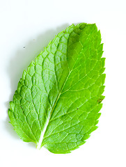 Image showing Fresh mint leaves