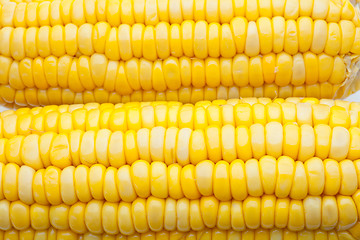 Image showing Corn-cob