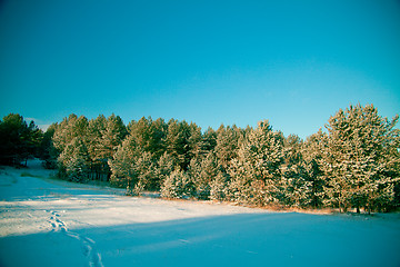 Image showing Winter landscape