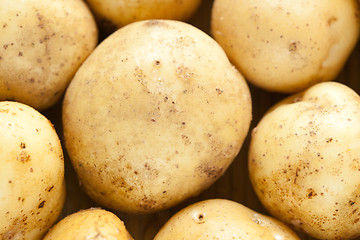 Image showing Fresh potatoes