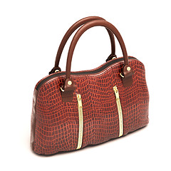 Image showing Crocodile leather handbag isolated