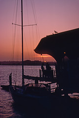 Image showing Dusk in harbor