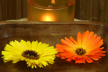 Image showing Marigold floating