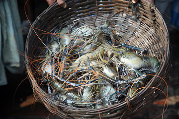 Image showing Indian sea crab in basket