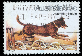 Image showing Stamp printed in Australia shows Australian Kelpie Dog