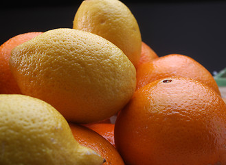 Image showing Citruses: lemons and oranges