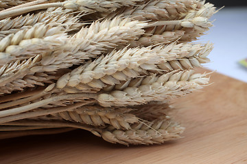 Image showing Wheat