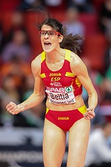 Image showing European Indoor Athletics Championship 2013