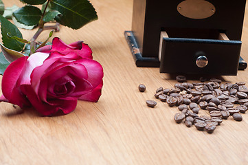 Image showing Old-fashioned manual burr-mill coffee grinder