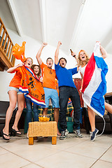 Image showing Ecstatic Dutch fans