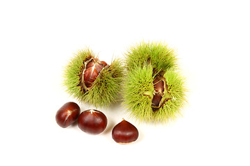 Image showing Fresh chestnuts