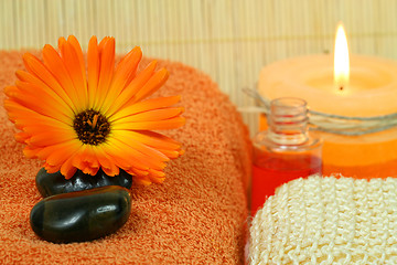 Image showing Marigold for beauty therapy