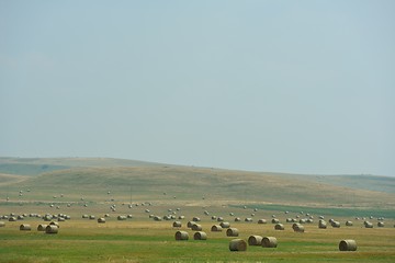 Image showing summer landscape