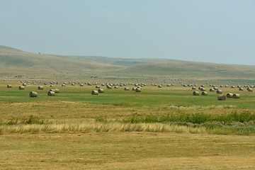 Image showing summer landscape