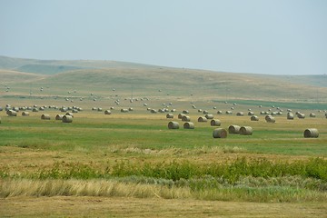 Image showing summer landscape