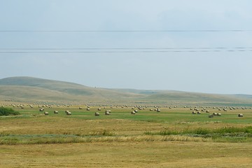 Image showing summer landscape