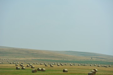 Image showing summer landscape