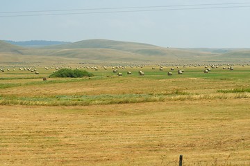 Image showing summer landscape