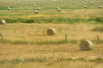 Image showing summer landscape