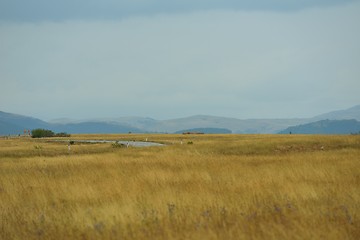 Image showing summer landscape