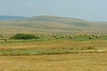 Image showing summer landscape