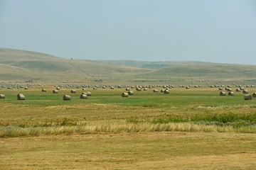 Image showing summer landscape