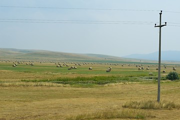 Image showing summer landscape