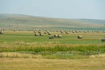 Image showing summer landscape