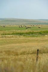 Image showing summer landscape