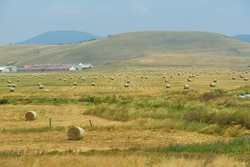 Image showing summer landscape