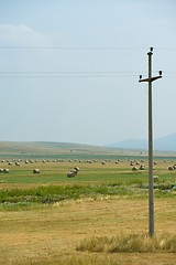 Image showing summer landscape